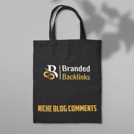 Niche-Blog-Comments